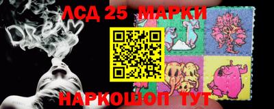 индика Кулебаки